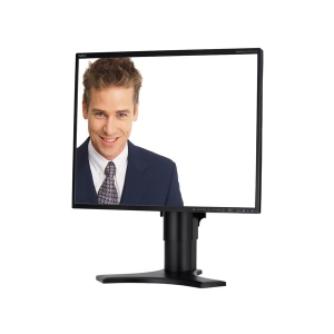 LCD монитор 19 NEC LCD1990FXp Black