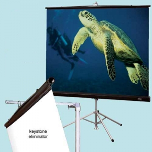 Экран на треноге Draper Diplomat 60x60 MW Black Case (152х152 см)
