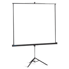 Экран на треноге Projecta Professional (180x180см) Matte White S, Case Dark Grey