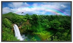 LCD монитор 24 NEC MultiSync P461