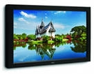 LCD монитор 24 NEC V321