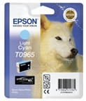    ( ) Epson T0965